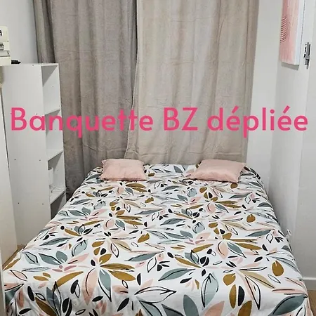 S2 Et Cosy Equipe A 10 Min Gare Apartment